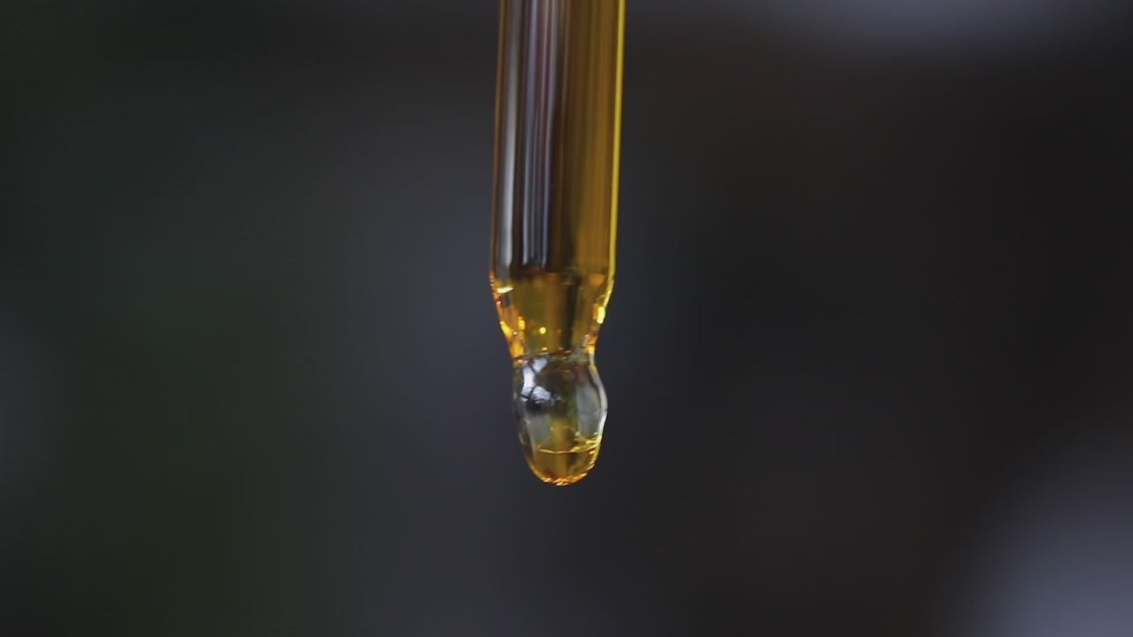 Blessed Black Seed Face Oil